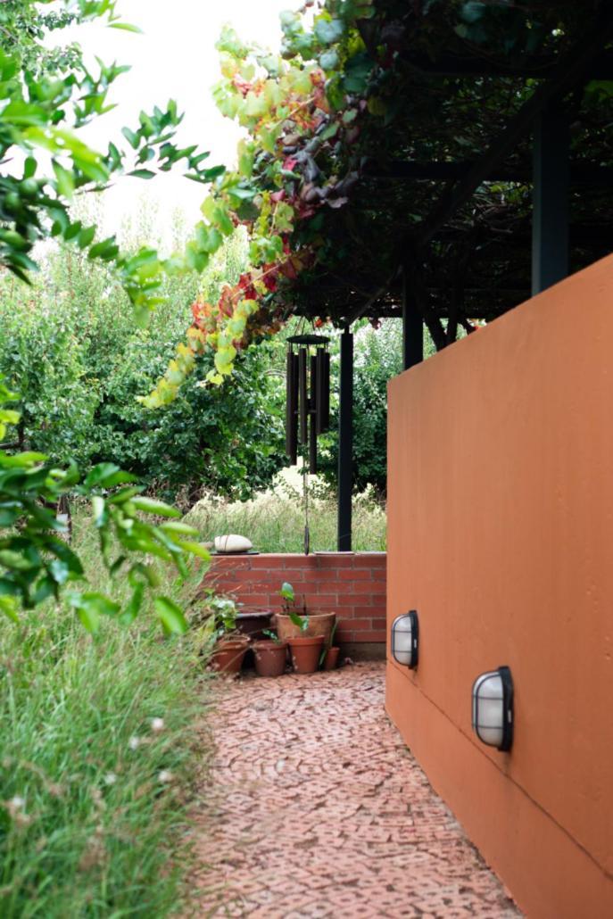 Liedjiesbos Urban Olive Farm Bed & Breakfast Bloemfontein Ngoại thất bức ảnh
