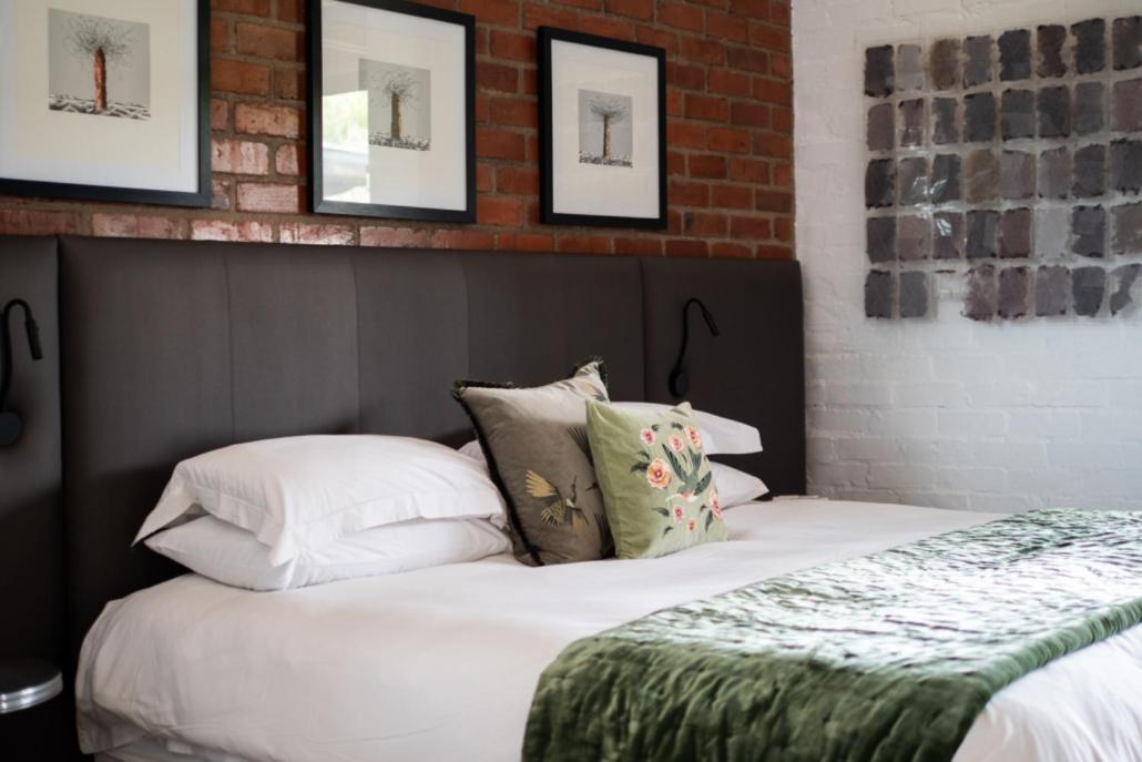 Liedjiesbos Urban Olive Farm Bed & Breakfast Bloemfontein Ngoại thất bức ảnh